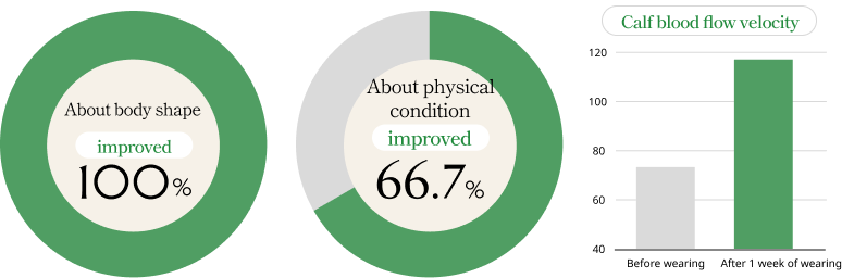 改善効果の円グラフ