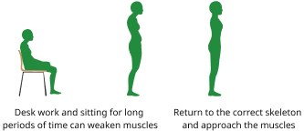親指の傾斜による筋肉へのアプローチ