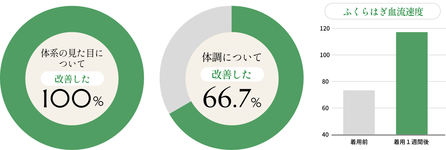 改善効果の円グラフ