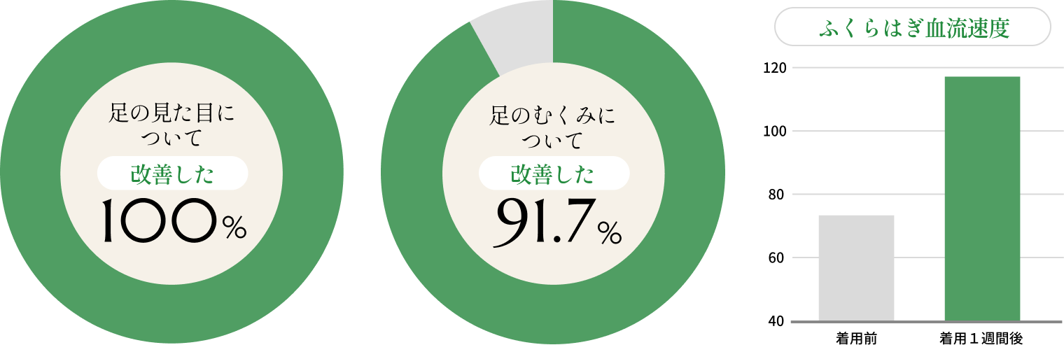 改善効果の円グラフ